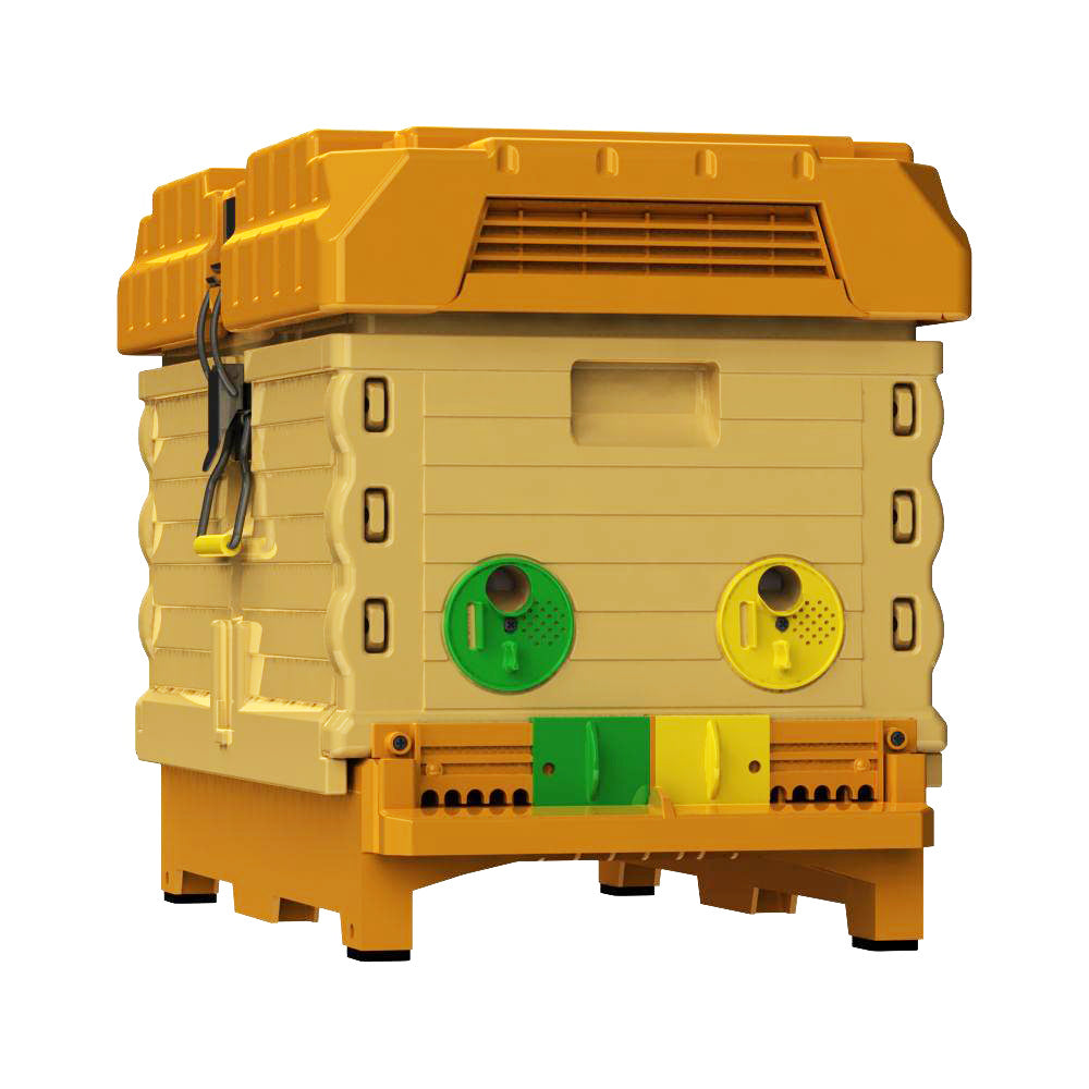Apimaye 7 Frame Nucleus Hive with 6 Handy Frames and Divider