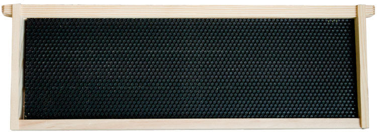 Medium Wood Frame with Plastic Foundation