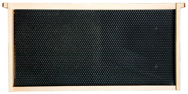 Deep Wood Frame with Plastic Foundation