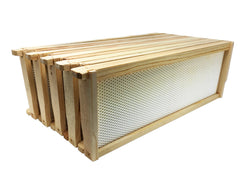 Medium Wood Frame with Plastic Foundation