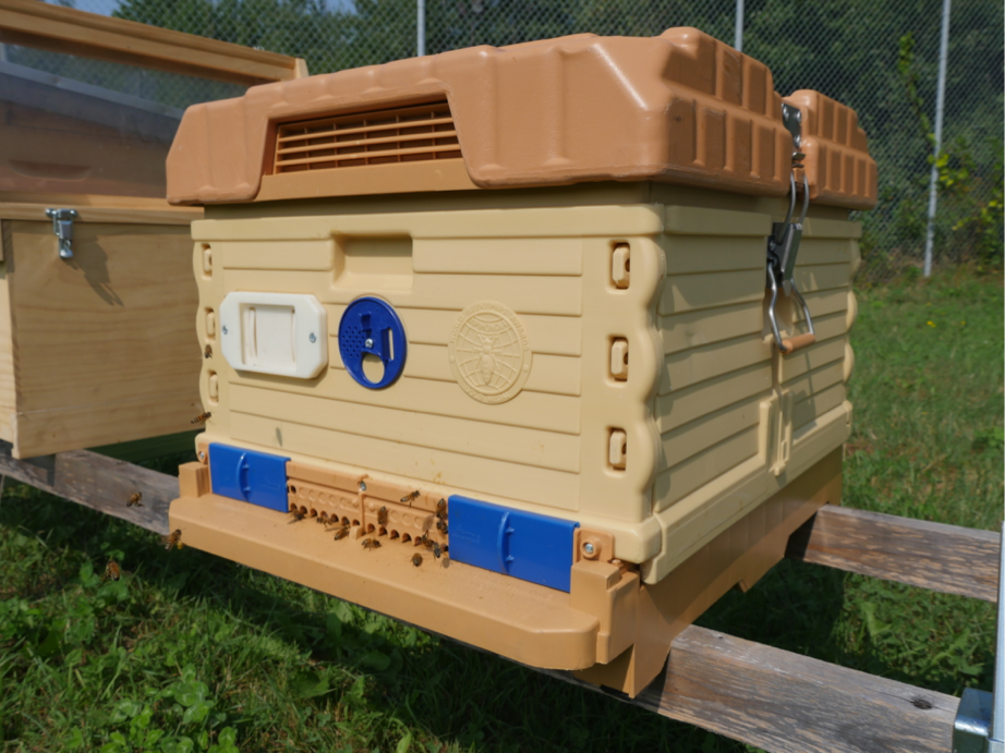 Apimaye Beehive Set - Single Brood Box