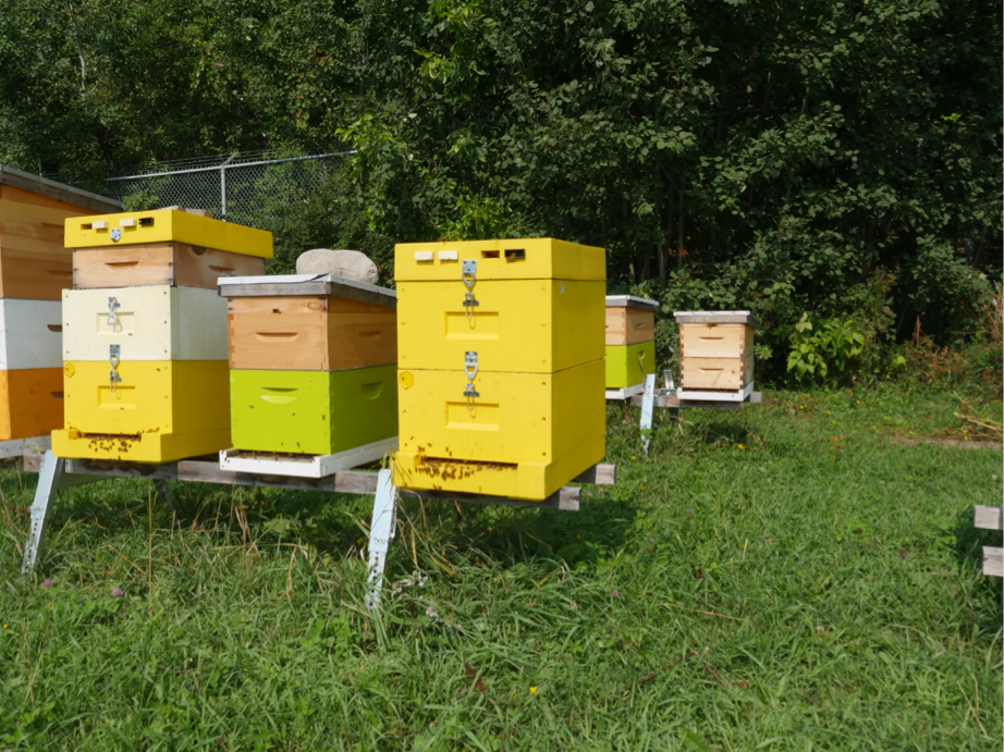 Polystyrene Hive - Painted – ApiHex